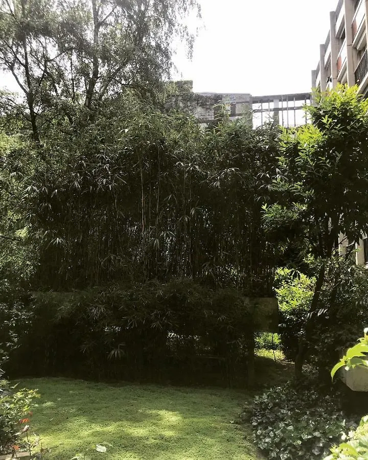 Havre De Paix En Plein Paris Apartment